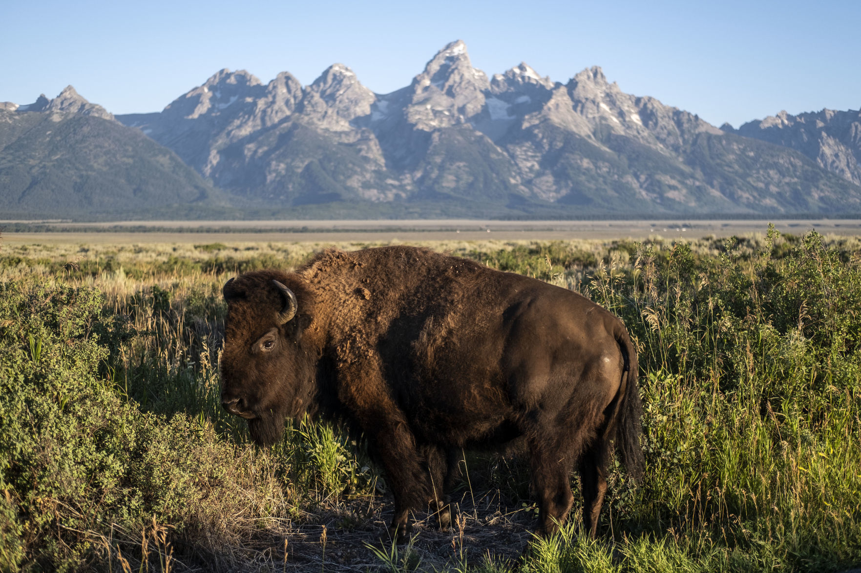 Grand Teton National Park